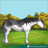 Horse Color:Platinum Brown Splash Rabicano 