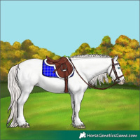 Horse Color:Perlino Dun