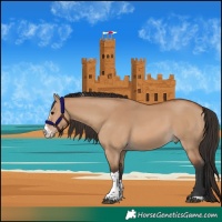 Horse Color:Bay Dun Sabino Tobiano