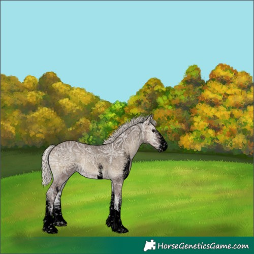 Horse Color:Void White Spotted Silver Smoky Blue Onyx Ice Tobiano 