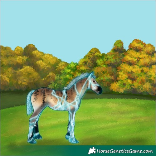 Horse Color:Void Thunderstruck Silver Buckskin Onyx 