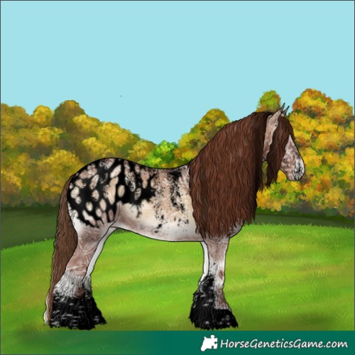 Horse Color:Powder White Void Red Onyx Ice Appaloosa 