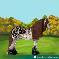 Horse Color:Powder White Void Red Onyx Ice Near Leopard 