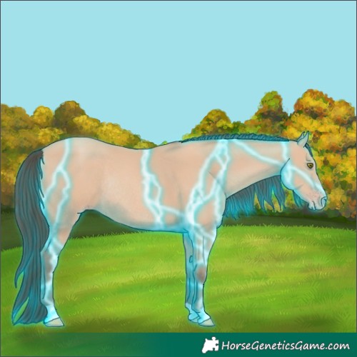 Horse Color:Thunderstruck Amber Champagne Rabicano