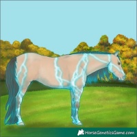 Horse Color:Thunderstruck Amber Champagne Rabicano