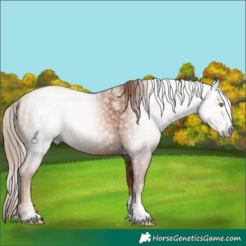 Horse Color:Powder White Gray Gold Champagne Tobiano 