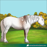 Horse Color:Powder White Gray Gold Champagne Tobiano 