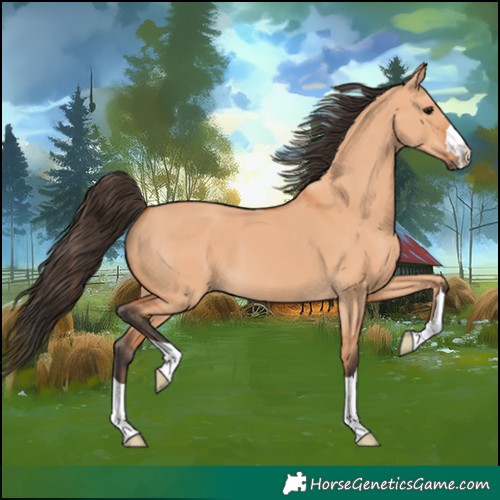 Horse Color:Bay Dun 