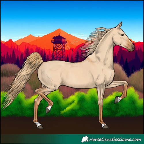 Horse Color:Red Dun 