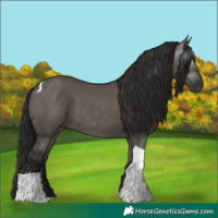 Horse Color:Gray Grullo Tobiano