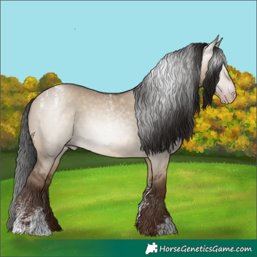 Horse Color:Powder White Gray Amber Champagne Dun 