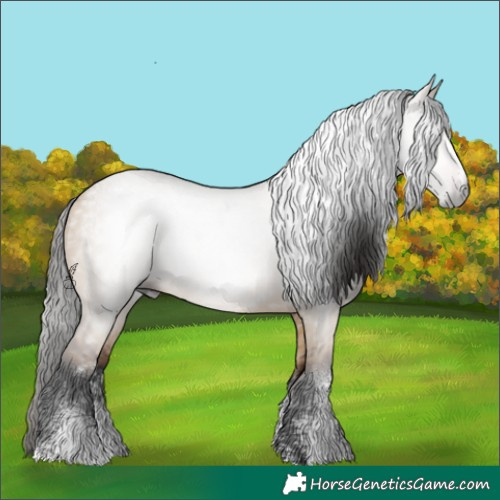 Horse Color:Powder White Gray Bay Dun 