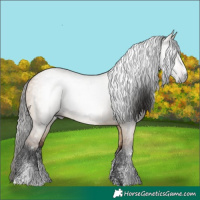 Horse Color:Powder White Gray Bay Dun 
