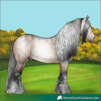 Horse Color:Powder White Gray Bay Dun 