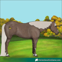 Horse Color:Silver Black 