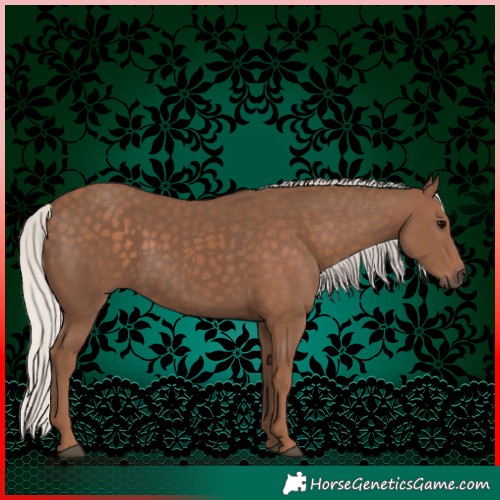 Horse Color:Silver Black 