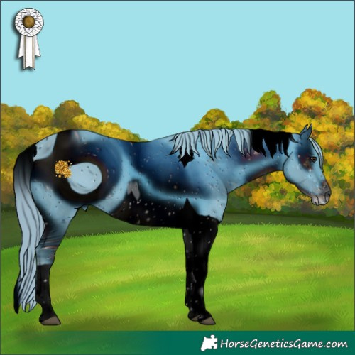 Horse Color:ERROR: UNKNOWN ANOMALY