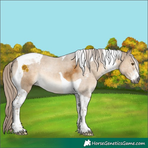 Horse Color:Gray Chocolate Palomino Dun Mushroom Sabino Tobiano 