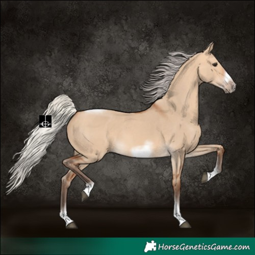 Horse Color:Silver Bay Dun Sabino Tobiano Frame Rabicano 