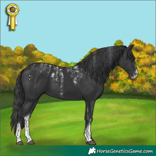 Horse Color:Powder White Black 