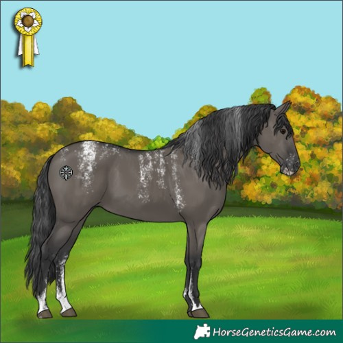Horse Color:Powder White Grullo 