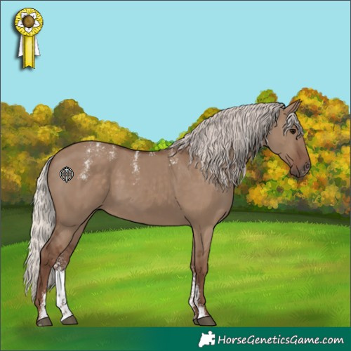 Horse Color:Powder White Silver Grullo 