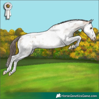 Horse Color:White Spotted Bay Dun Splash Tobiano Blanket 