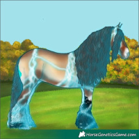 Horse Color:Void Thunderstruck Bay Onyx Tobiano