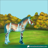 Horse Color:Void Thunderstruck Bay Onyx Tobiano 