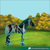 Horse Color:Void Thunderstruck White Spotted Silver Smoky Blue Onyx Splash Tobiano 