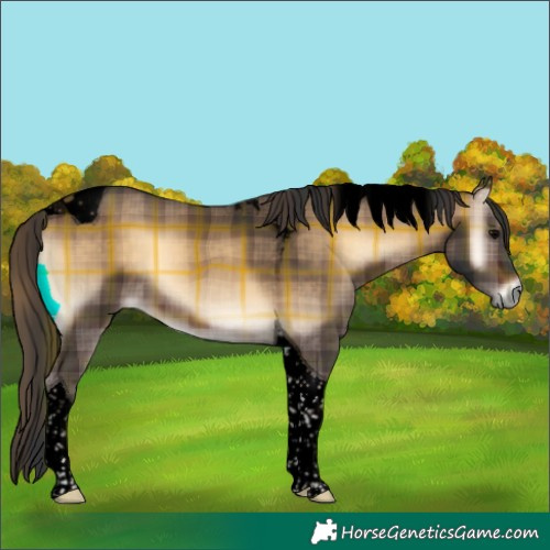 Horse Color:Void Plaid  Brown Onyx Tobiano 