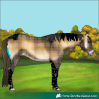 Horse Color:Void Plaid  Brown Onyx Tobiano 