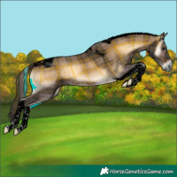 Horse Color:Void Plaid  Brown Onyx Tobiano 