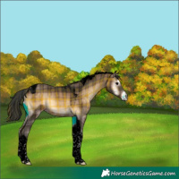 Horse Color:Void Plaid  Brown Onyx Tobiano 