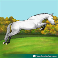 Horse Color:Gray Void Plaid  Bay Onyx Splash Tobiano 