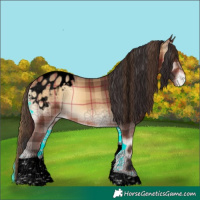 Horse Color:Void Plaid  Brown Onyx Tobiano Appaloosa 