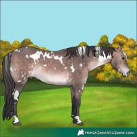 Horse Color:Platinum White Spotted Bay