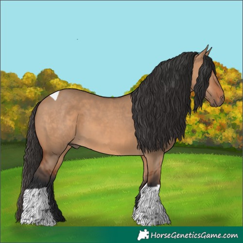 Horse Color:Bay Dun Tobiano 