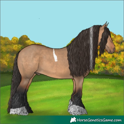 Horse Color:Bay Dun Tobiano 