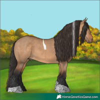 Horse Color:Bay Dun Tobiano 