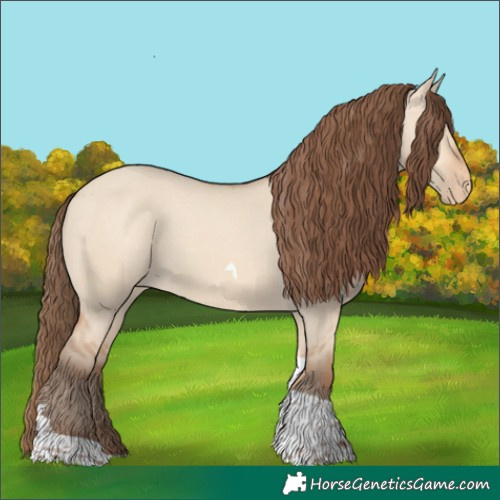 Horse Color:Amber Champagne Dun Tobiano Varnish 