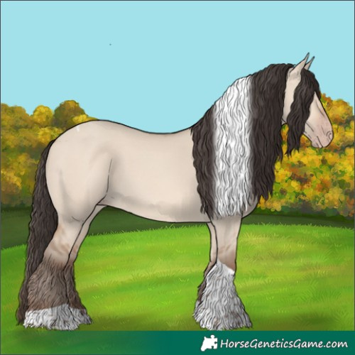 Horse Color:Amber Champagne Dun Tobiano 