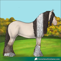 Horse Color:Amber Champagne Dun Tobiano