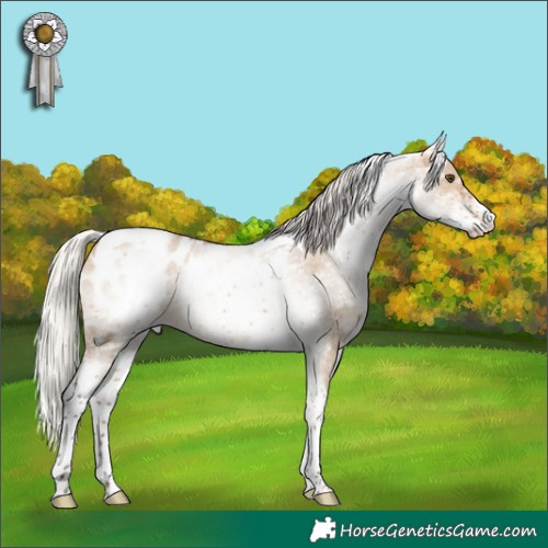 Horse Color:White Spotted Silver Brown Dun Tobiano Blanket 