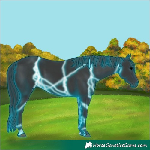 Horse Color:Thunderstruck Black 