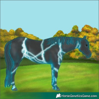 Horse Color:Thunderstruck Black