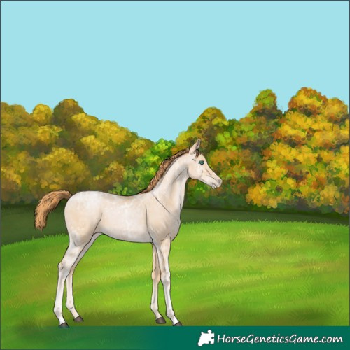 Horse Color:Smoky Black Ice Pearl