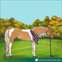 Horse Color:Palomino Tobiano 