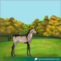 Horse Color:Void Painted Brown Dun Splash Tobiano Rabicano