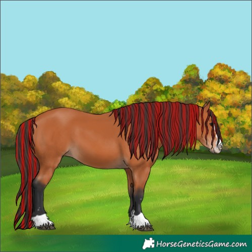 Horse Color:Painted Bay 